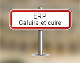 ERP à Caluire et Cuire