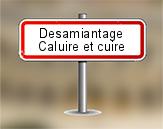 Examen visuel amiante à Caluire et Cuire